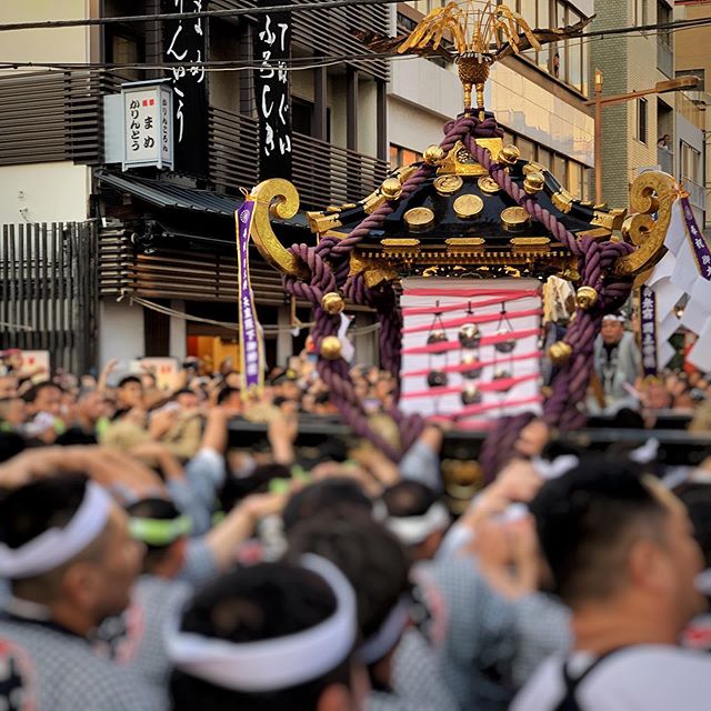 東京江戸一 青縞腹掛 正藍染 1尺6寸・1尺6寸5分・1尺7寸