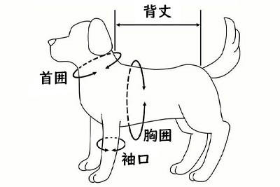 愛犬サイズ表